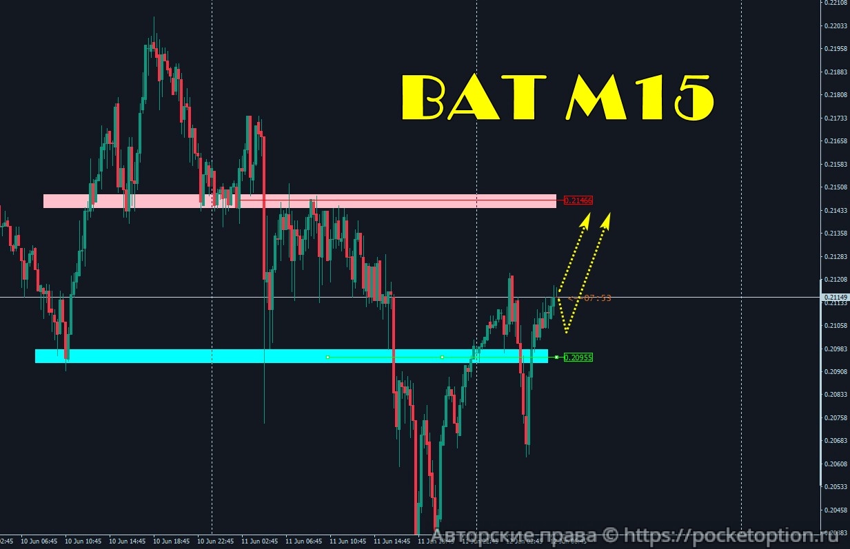 bat_12.06