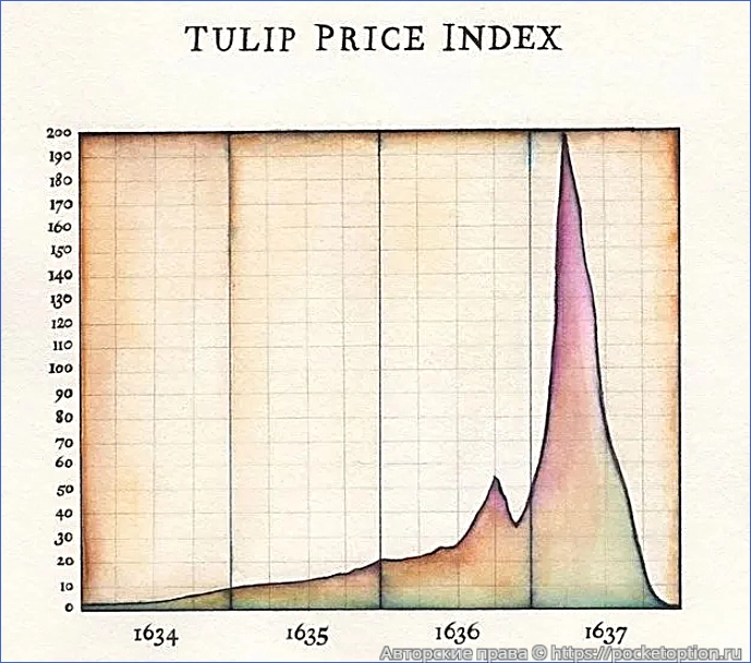 tulip