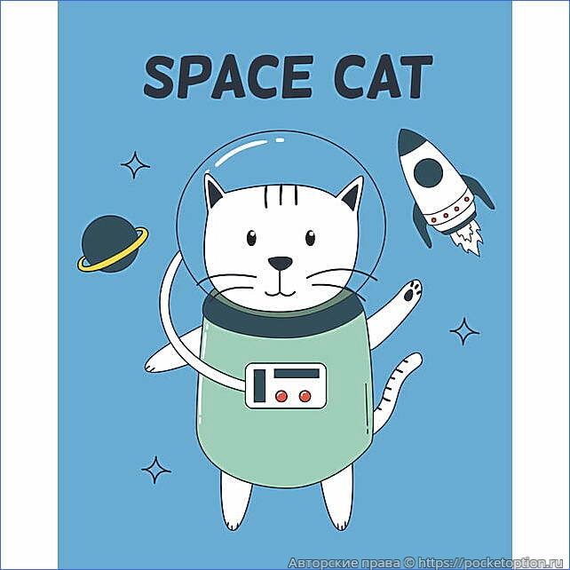 space_cat