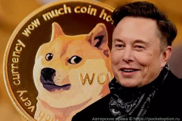 Илон Маск и DOGE