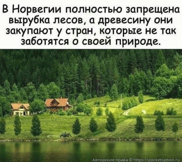 Запрет на вырубку