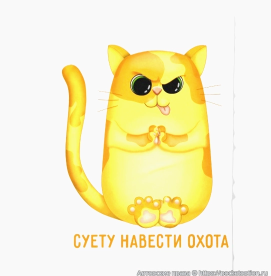 кот суетолог