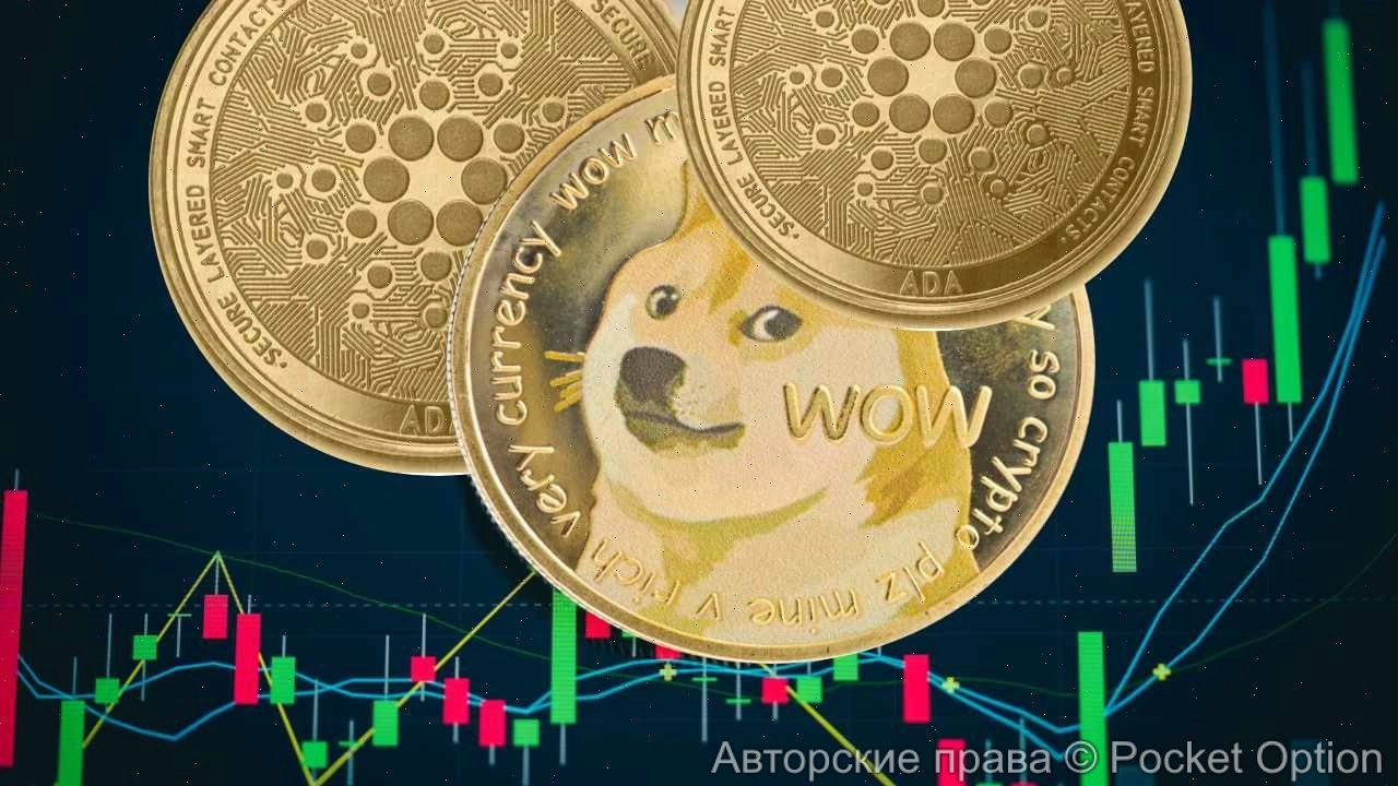 Cardano и Dogecoin (2)