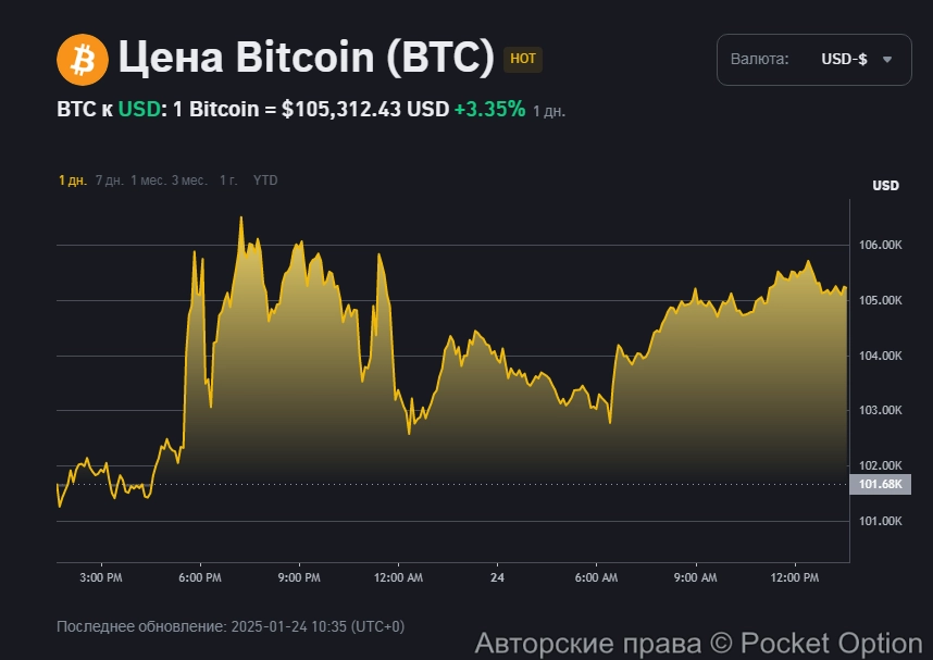 Цена биткоина на 24 января 2025 года