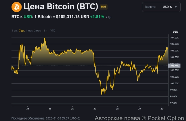 Биток сейчас