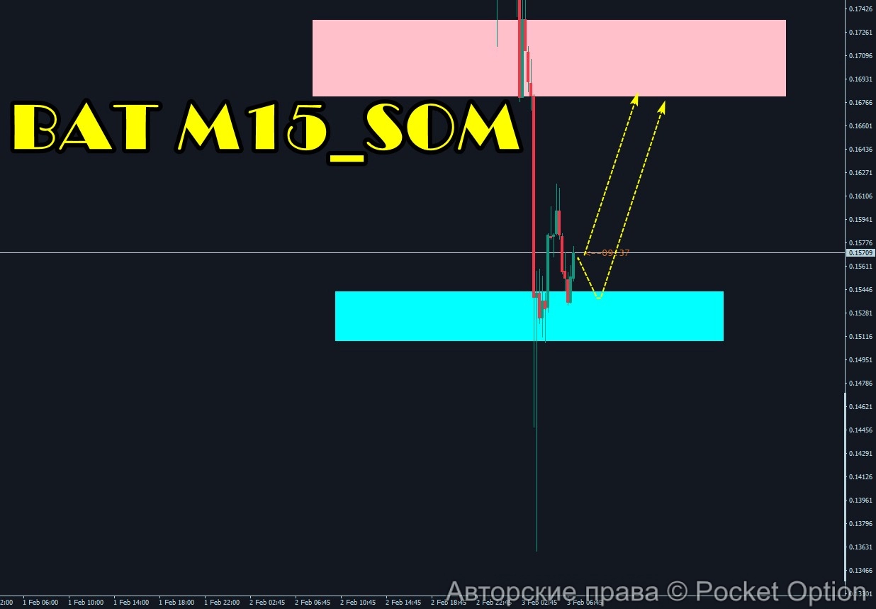 bat_som_03.02.25