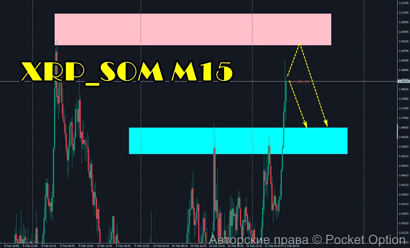 xrp_som_11.02.25