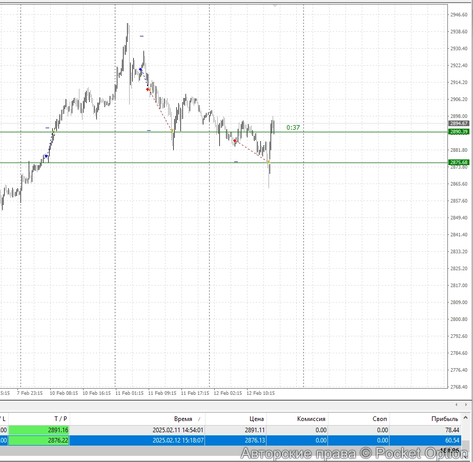 gold7_itog